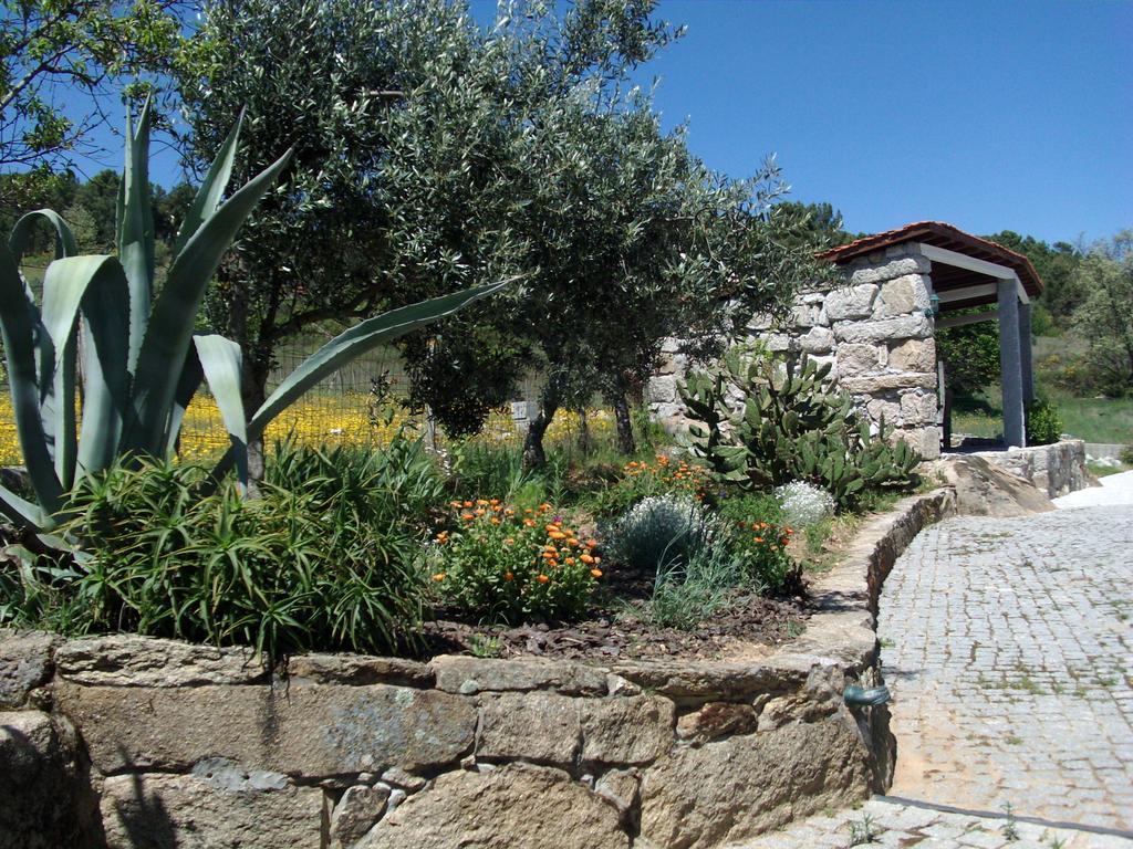 Quinta Do Mineiro-Serra Da Estrela Matanca 部屋 写真